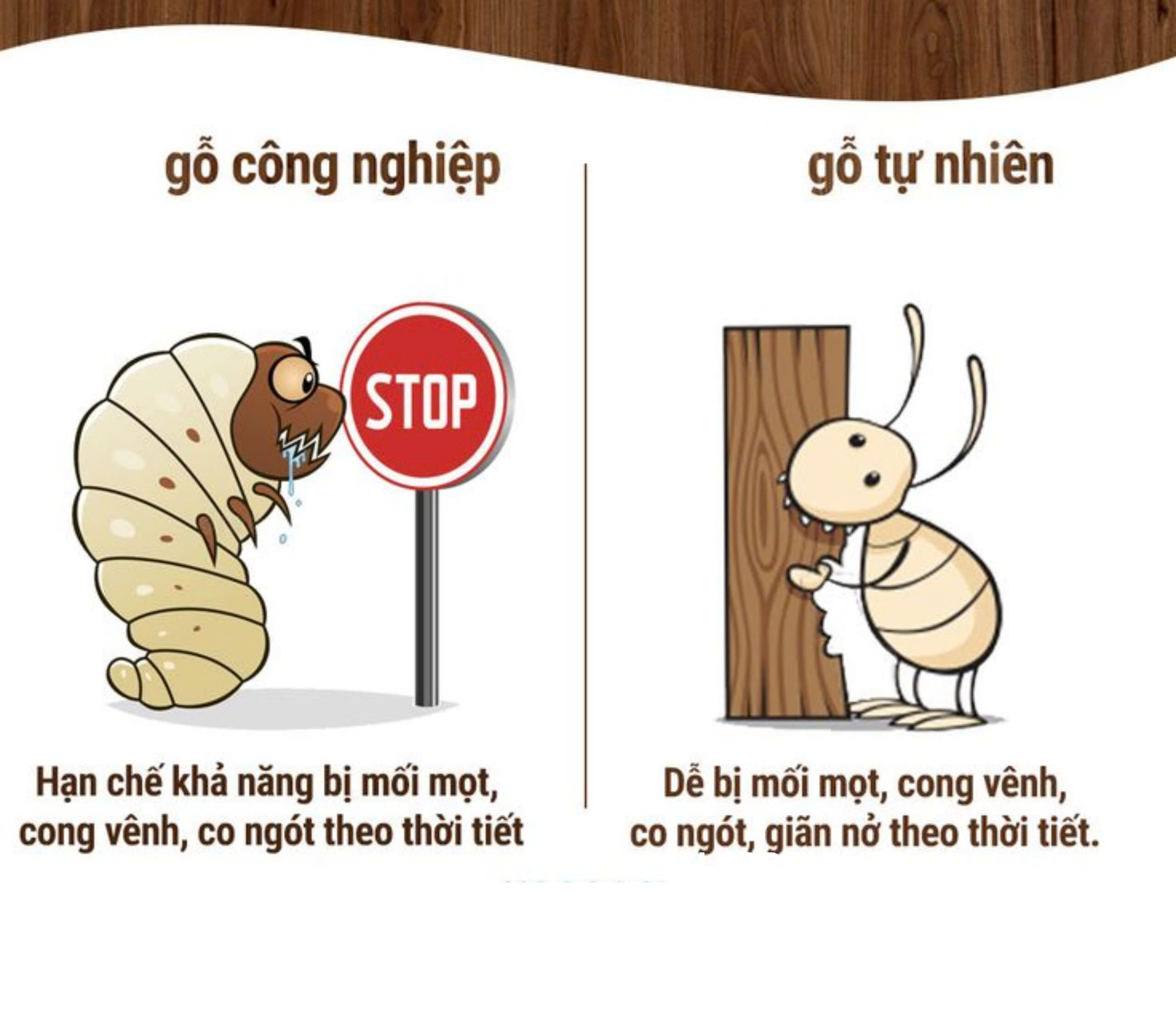 Tìm Hiểu Ván MDF Là Gì?