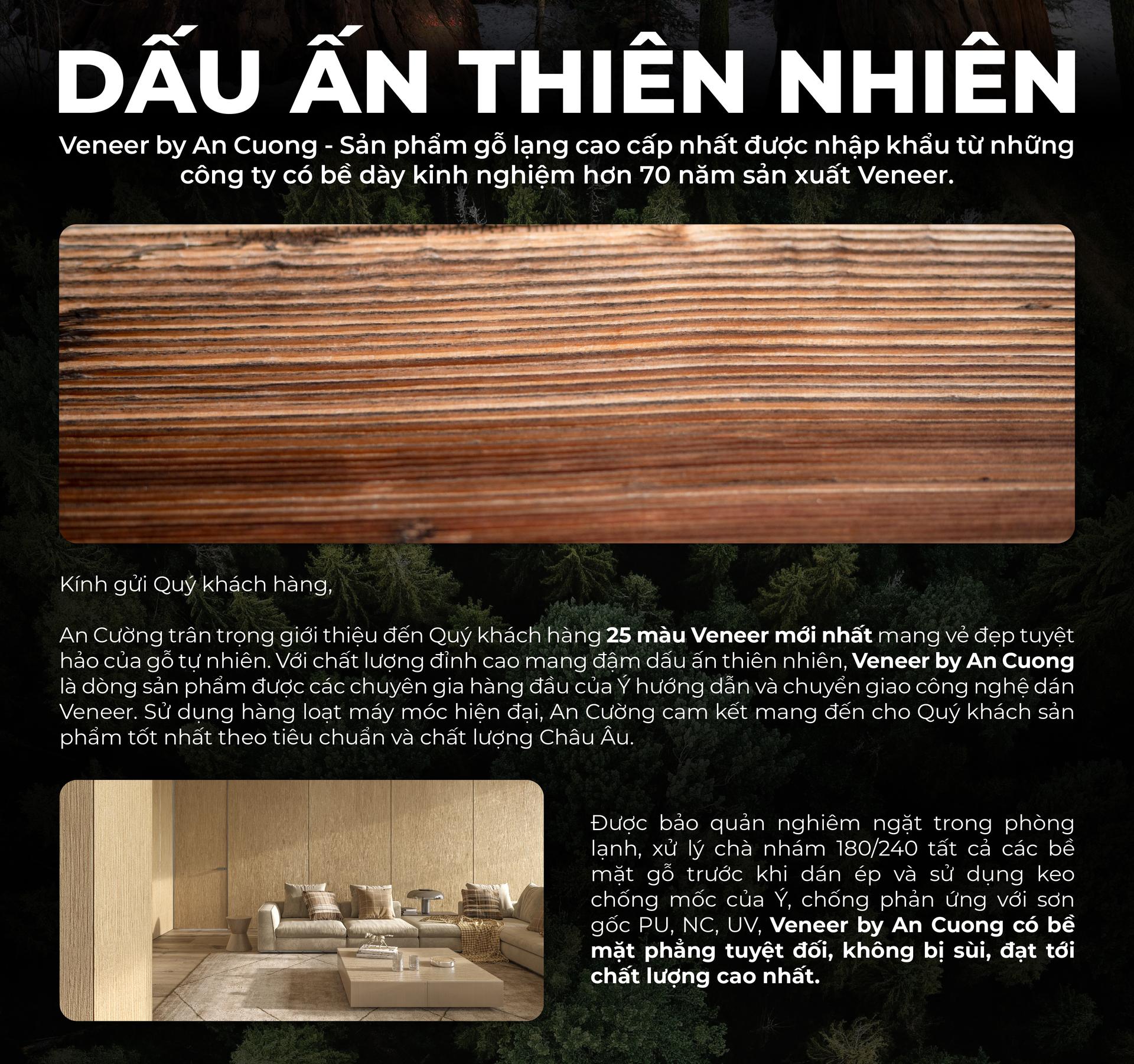 Veneer Marquetry An Cường - Dấu ấn nghệ thuật vượt thời gian trong thiết kế nội thất
