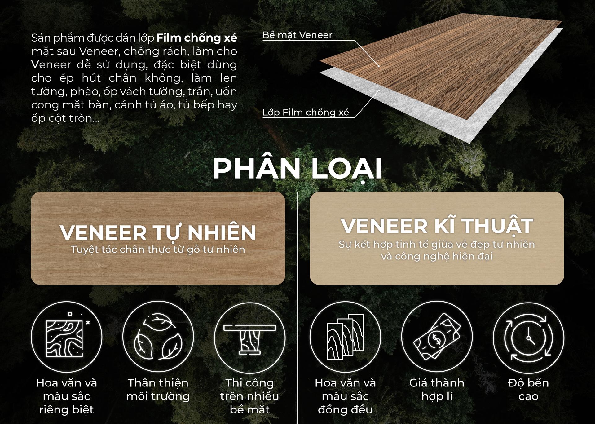 Veneer Marquetry An Cường - Dấu ấn nghệ thuật vượt thời gian trong thiết kế nội thất